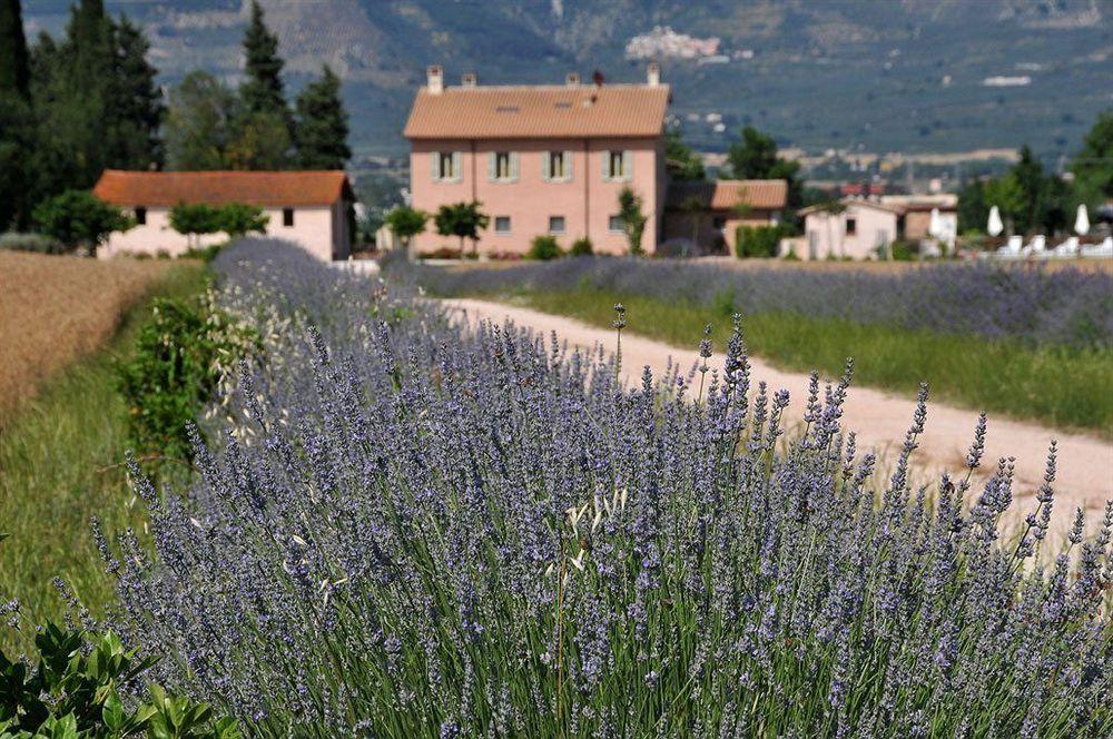 Country House Casco Dell'Acqua Trevi Exterior foto