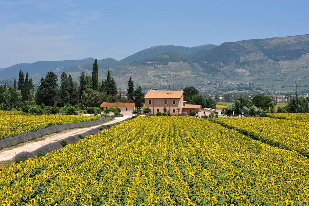 Country House Casco Dell'Acqua Trevi Exterior foto